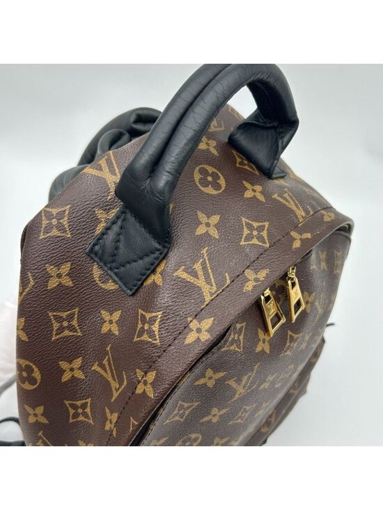 Louis Vuitton Palm Spring Backpack MM Sac main image 12